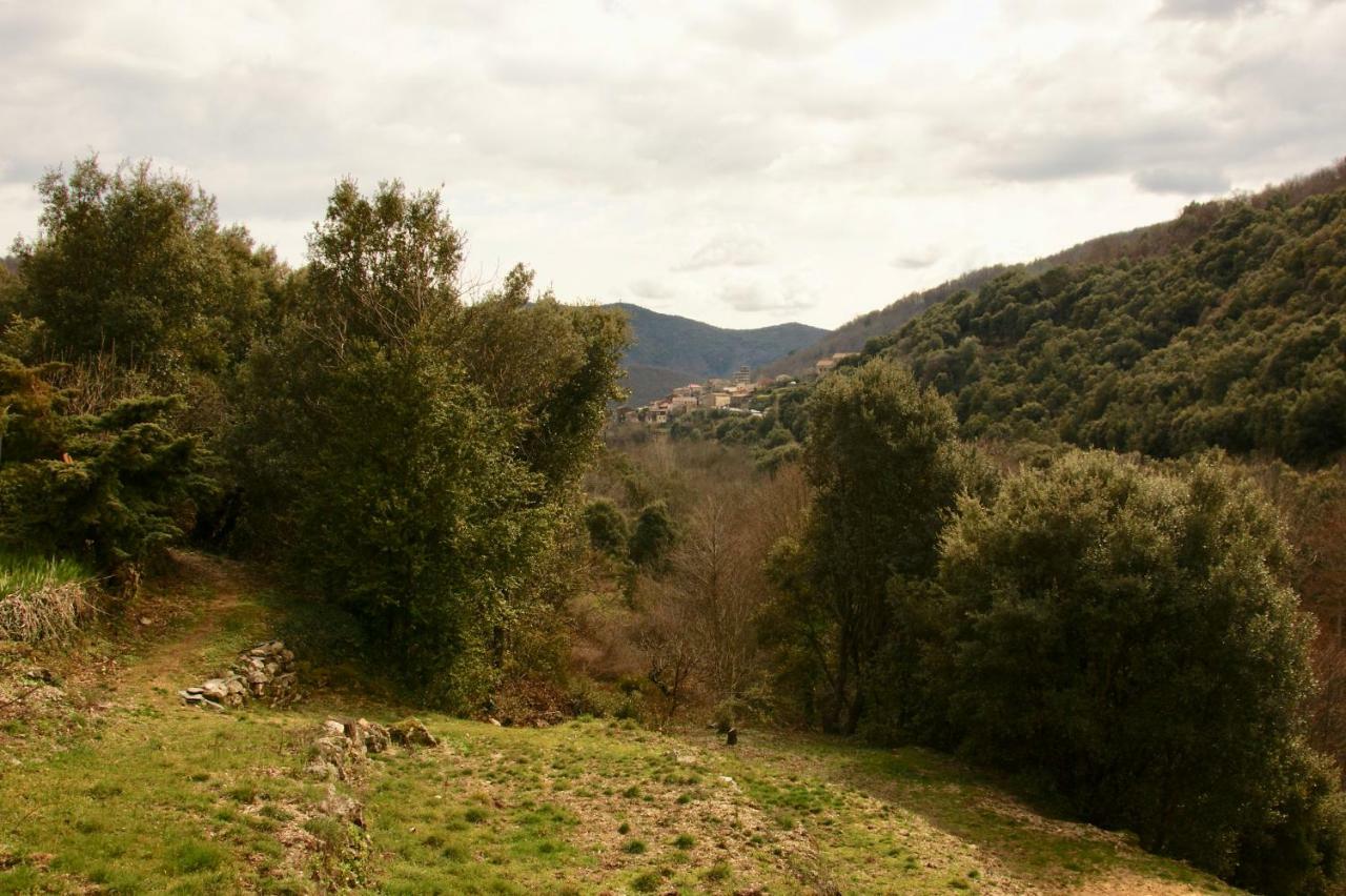 Mas Des Nabieres Bed & Breakfast Saint-Martial  Exterior photo